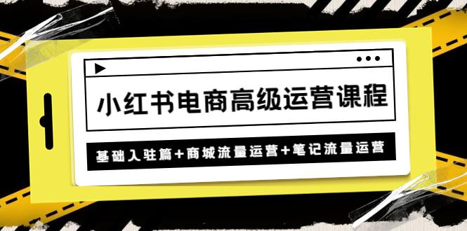 小红书电商高级运营课程：基础入驻篇+商城流量运营+笔记流量运营-阿灿说钱
