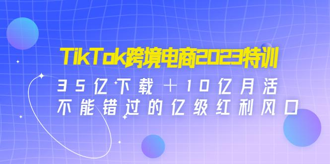 TikTok跨境电商2023特训：35亿下载＋10亿月活，不能错过的亿级红利风口-阿灿说钱