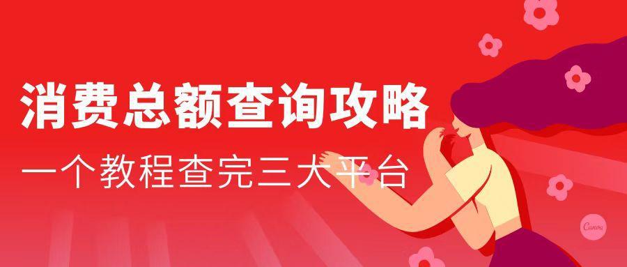 淘宝消费总金额怎么看丨淘宝京东拼多多消费总额查询攻略-阿灿说钱