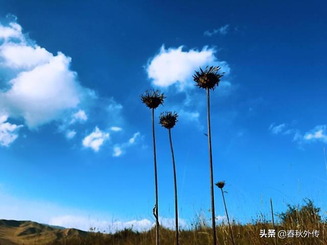 扎西德勒不能随便说（扎西德勒适合什么时候说）
