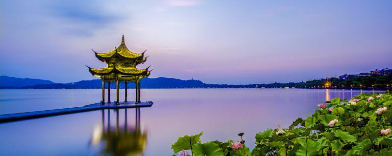 四叶菡萏是什么花 四叶菡萏是指哪种花