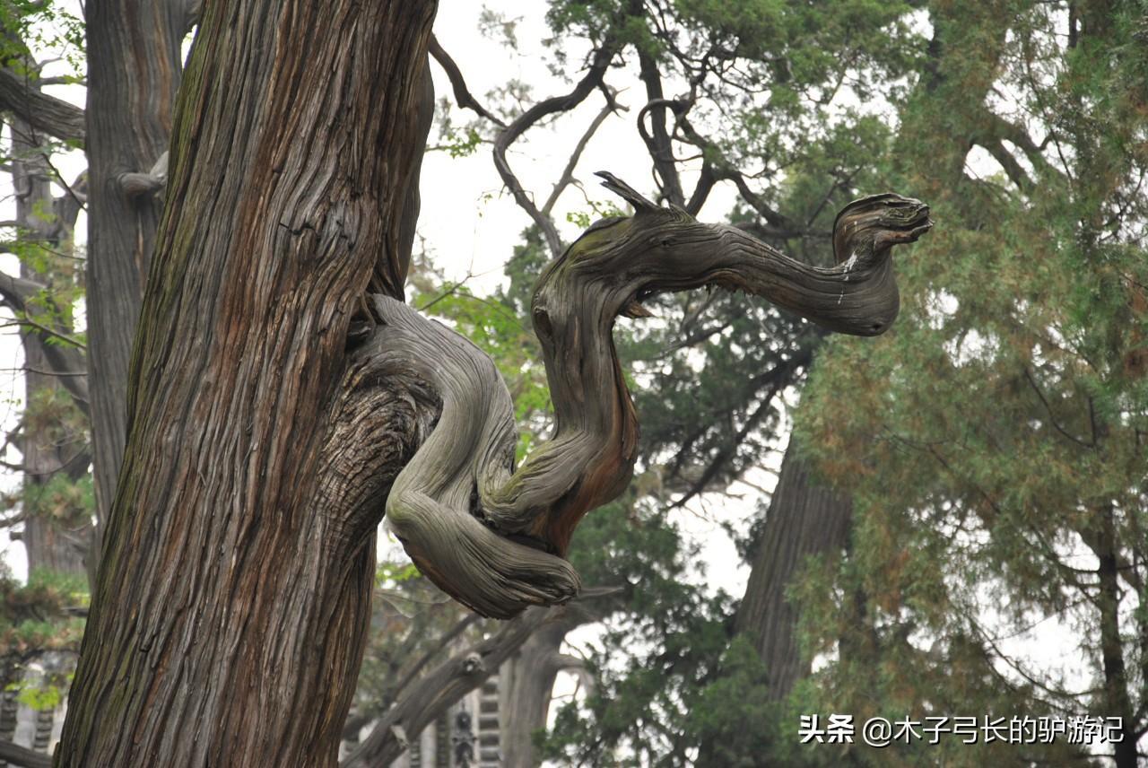 孟母三迁发生在哪里？孟母三迁的故事，发生在这座小城