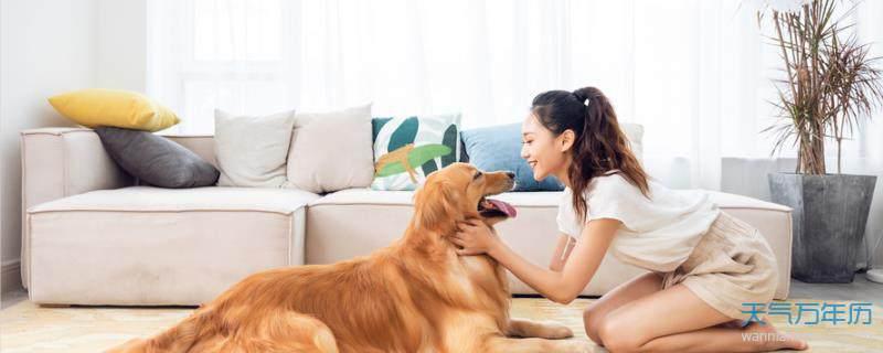 简单干净的微信号数字（2023最火的特殊意义微信号）-阿灿说钱