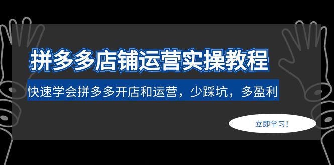 拼多多店铺运营实操教程：快速学会拼多多开店和运营，少踩坑，多盈利-阿灿说钱