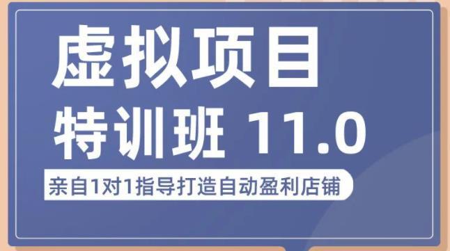 陆明明·虚拟项目特训班（10.0+11.0），0成本获取虚拟素材，0基础打造自动盈利店铺-阿灿说钱