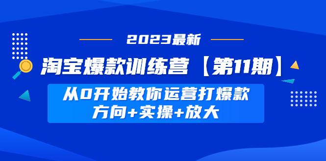 淘宝爆款训练营【第11期】 从0开始教你运营打爆款，方向+实操+放大-阿灿说钱