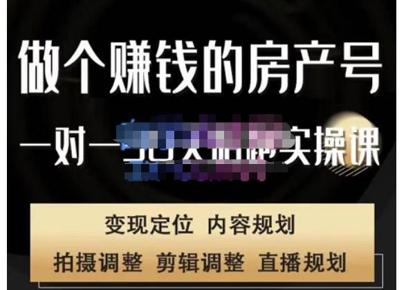 同城房产号线上陪跑课，拍摄、剪辑、写文案、直播，做一个具有潜力价值的房产号-阿灿说钱