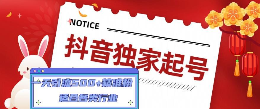 抖音独家起号，一天引流500+精准粉，适合各类行业（9节视频课）-阿灿说钱