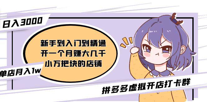 拼多多虚拟开店打卡群：入门到精通（昨日群里有小伙伴日入3000+）2月26更新-阿灿说钱