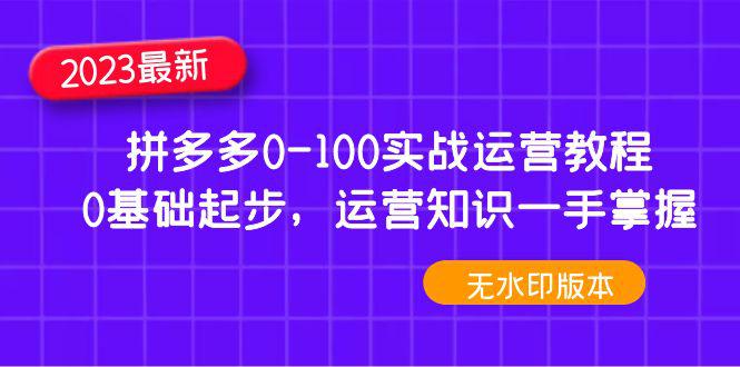 2023年拼多多0-100实战运营教程，0基础起步，运营知识一手掌握（无水印）-阿灿说钱