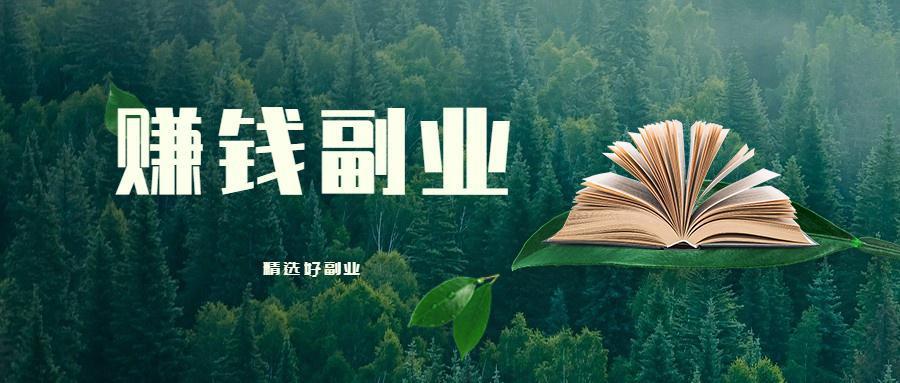 适合宝妈在家做的副业有哪些？-阿灿说钱