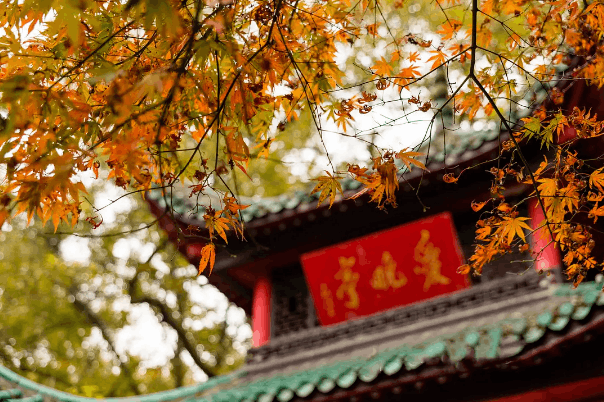 长沙有什么好玩的旅游景点（附热门景点+特色美食+路线推荐）-阿灿说钱