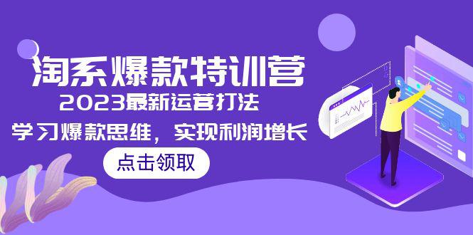2023淘系爆款特训营，2023最新运营打法，学习爆款思维，实现利润增长-阿灿说钱
