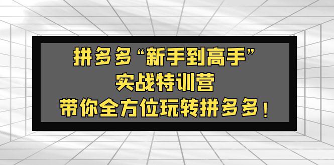 拼多多“新手到高手”实战特训营:带你全方位玩转拼多多! 拼多多“新手到高手”实战特训营:带你全方位玩转拼多多!