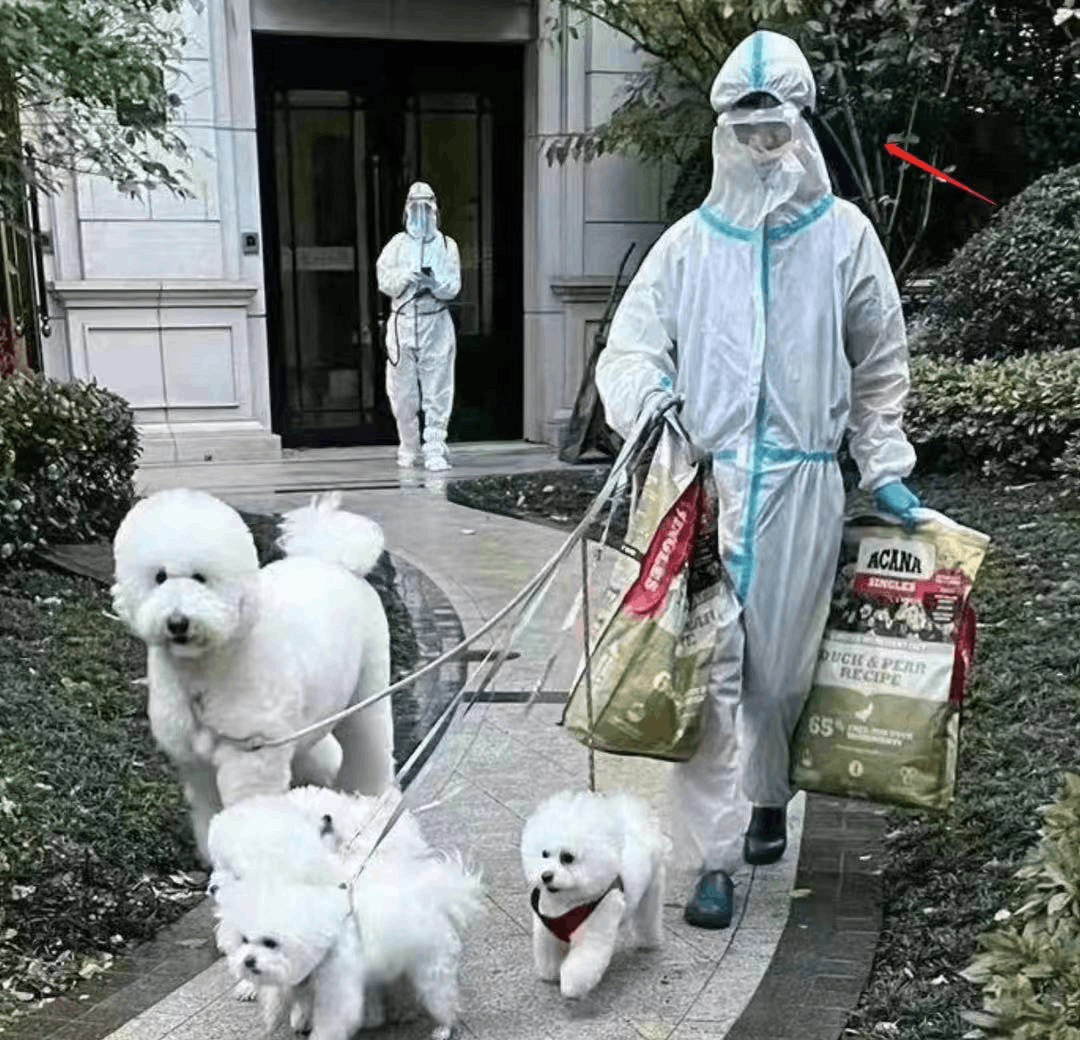 李佳琦最近出什么事了