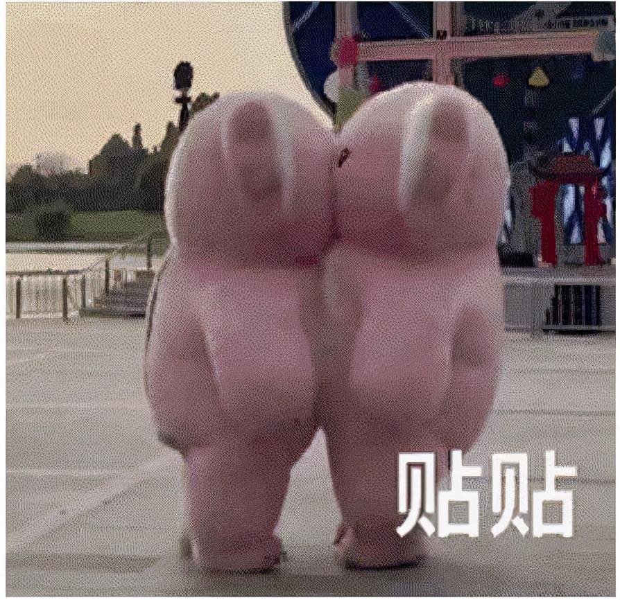 贴贴是什么意思,“贴贴”什么梗? 贴贴是什么意思,“贴贴”什么梗?