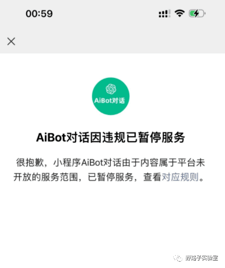 图片[3]-做ChatGPT犹如捡钱，轻松日入百元~-阿灿说钱