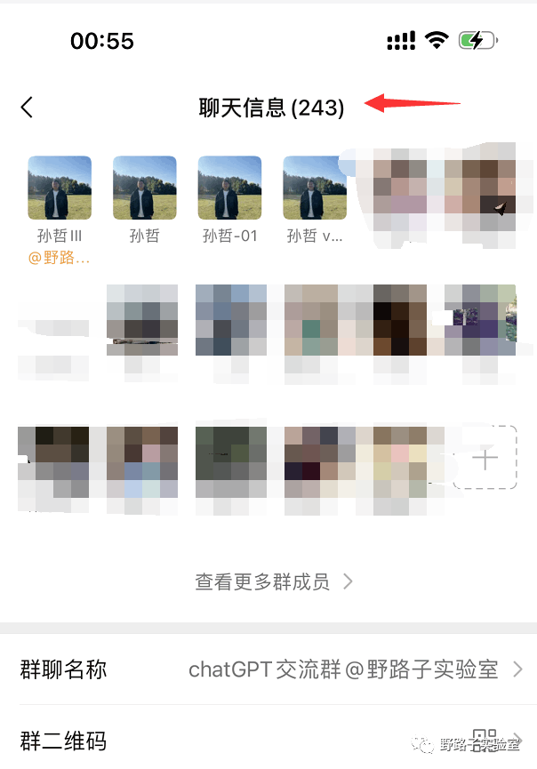 图片[2]-做ChatGPT犹如捡钱，轻松日入百元~-阿灿说钱