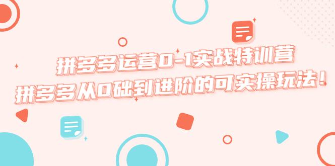 拼多多运营0-1实战特训营,拼多多从0础到进阶的可实操玩法! 拼多多运营0-1实战特训营,拼多多从0础到进阶的可实操玩法!