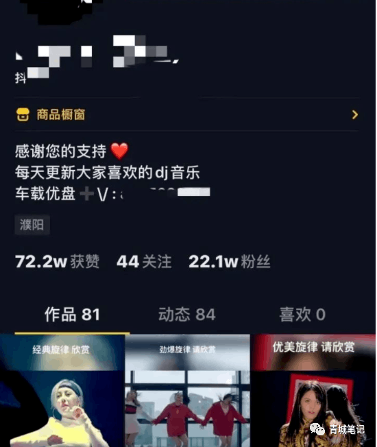 图片[2]-教你怎么做抖音音乐u盘号,轻松月入十万-阿灿说钱
