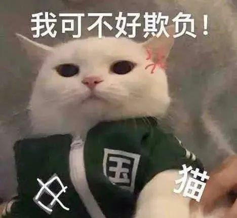图片[4]-1个小城市赚大钱的模式-阿灿说钱