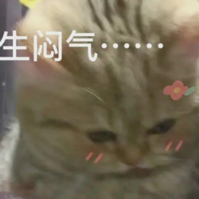 图片[1]-1个小城市赚大钱的模式-阿灿说钱