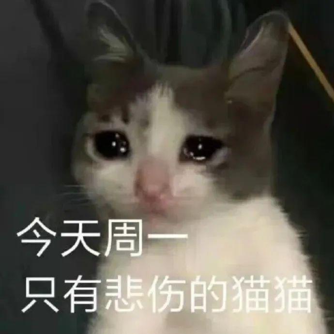 图片[2]-1个小城市赚大钱的模式-阿灿说钱