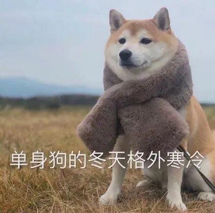图片[6]-1个小城市赚大钱的模式-阿灿说钱