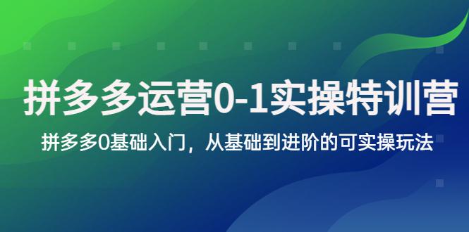 拼多多-运营0-1实操训练营,拼多多0基础入门,从基础到进阶的可实操玩法 拼多多-运营0-1实操训练营,拼多多0基础入门,从基础到进阶的可实操玩法