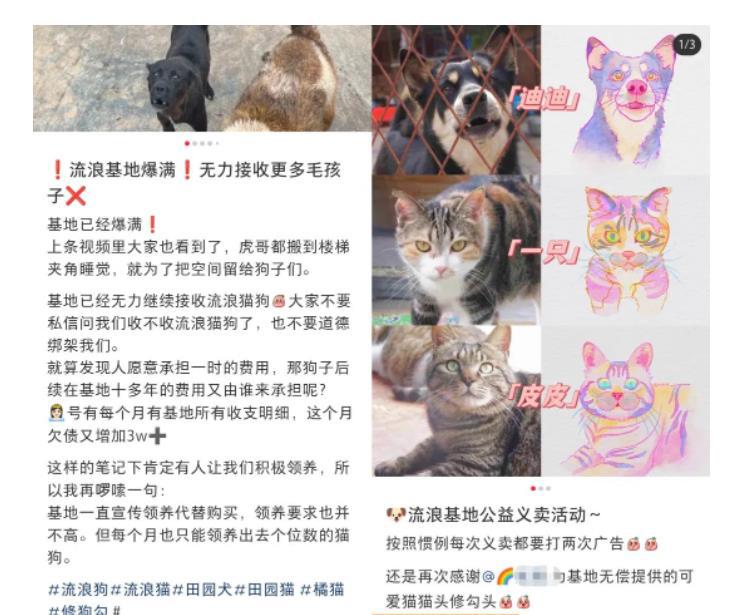 小红书蓝海类赛道:小动物打赏与购买变现副业项目,一条龙玩法分享给你! 小红书蓝海类赛道:小动物打赏与购买变现副业项目,一条龙玩法分享给你!