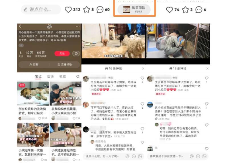 小红书蓝海类赛道:小动物打赏与购买变现副业项目,一条龙玩法分享给你! 小红书蓝海类赛道:小动物打赏与购买变现副业项目,一条龙玩法分享给你!