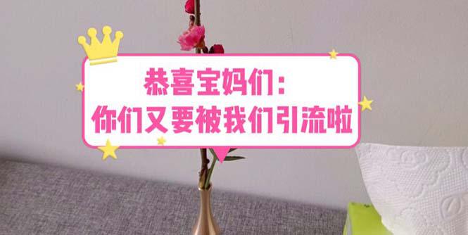 恭喜宝妈们:你们又要被我们引流了(教程 222g资料) 恭喜宝妈们:你们又要被我们引流了(教程 222g资料)