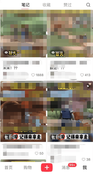 小红书英语启蒙动画项目：蓝海赛道 0成本，一部手机日入500 （教程 资源）