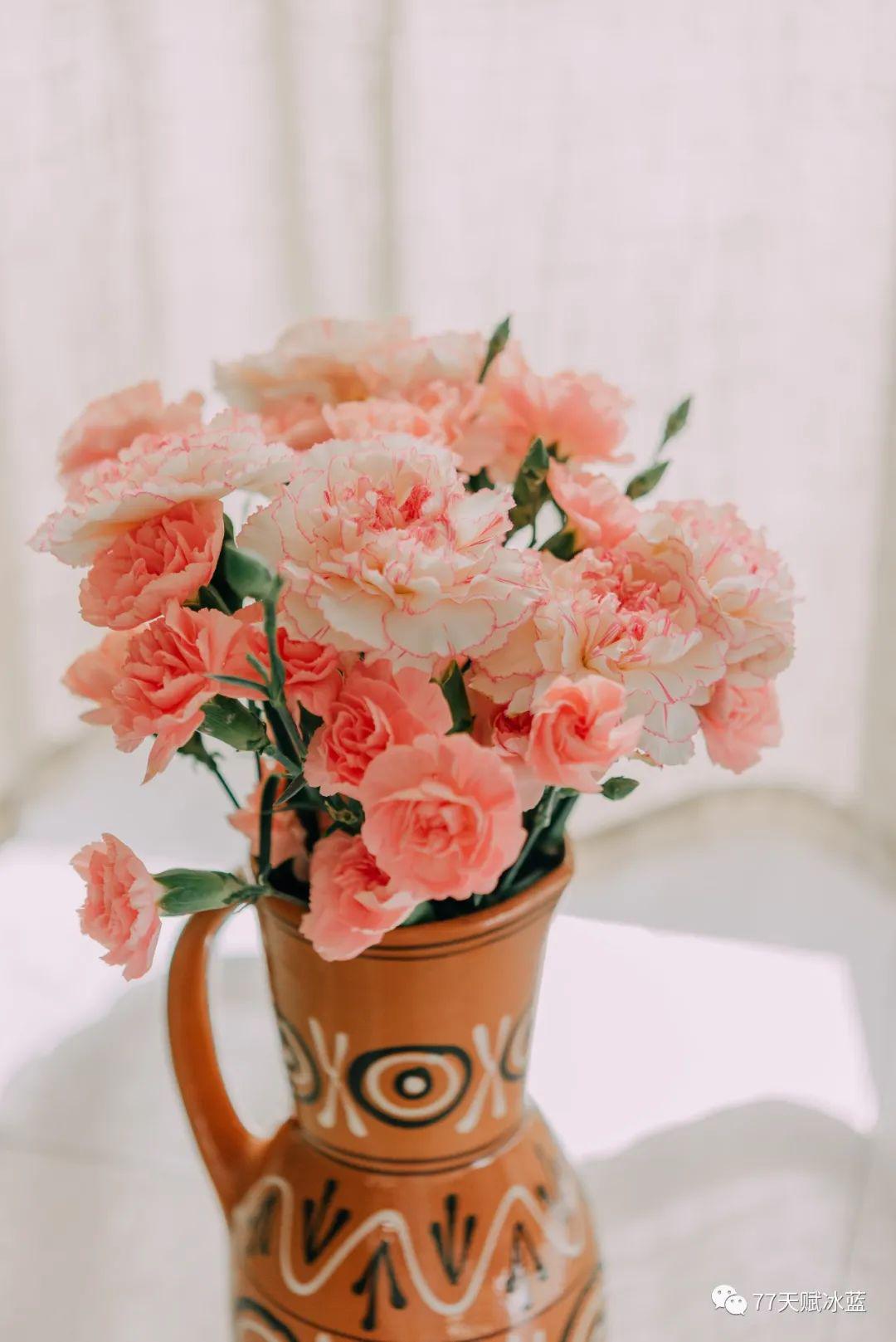 图片[1]-二手网站也有宝藏卖家，教你如何挖掘廉价好物！-阿灿说钱