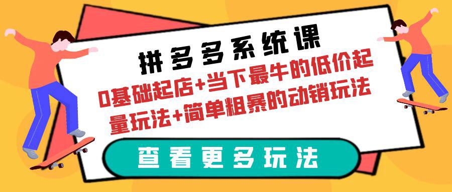 拼多多系统课：0基础起店+低价起量玩法+动销实战案例-阿灿说钱