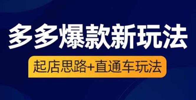 2023拼多多爆款:如何起店+直通车玩法提高点击和转化(3节精华课) 2023拼多多爆款:如何起店+直通车玩法提高点击和转化(3节精华课)