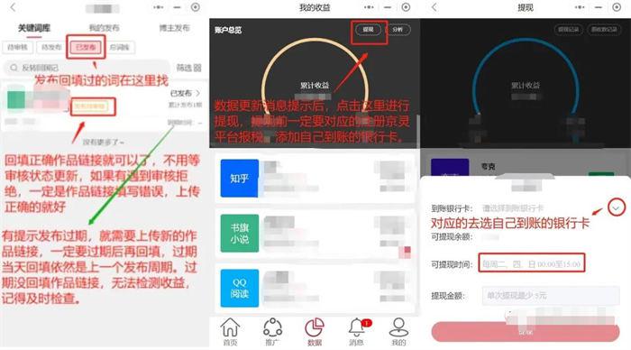 图片[10]-小说推文项目介绍及制作技巧，如何通过抖音等平台实现变现-阿灿说钱