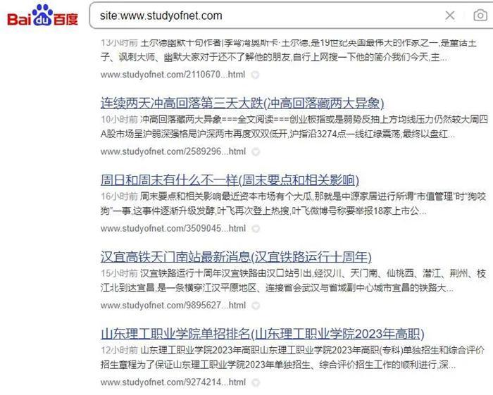 图片[1]-如何提高网站日收？新站养日收的核心方法和技巧-阿灿说钱
