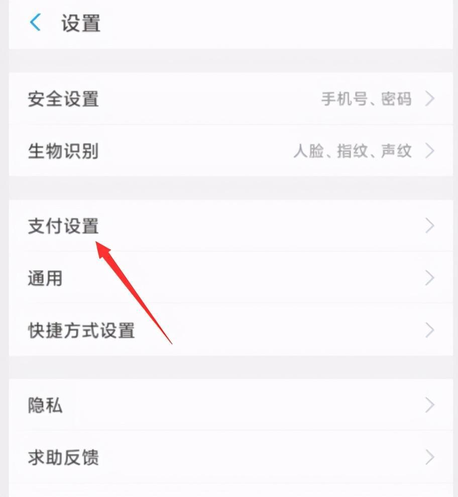 图片[2]-支付宝刷脸使用方法详解，一分钟学会扫码购物！| 智能支付-阿灿说钱