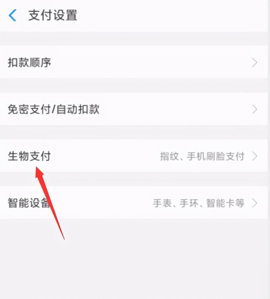 图片[3]-支付宝刷脸使用方法详解，一分钟学会扫码购物！| 智能支付-阿灿说钱