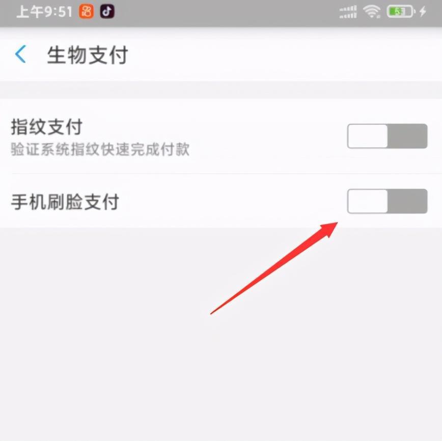 图片[4]-支付宝刷脸使用方法详解，一分钟学会扫码购物！| 智能支付-阿灿说钱