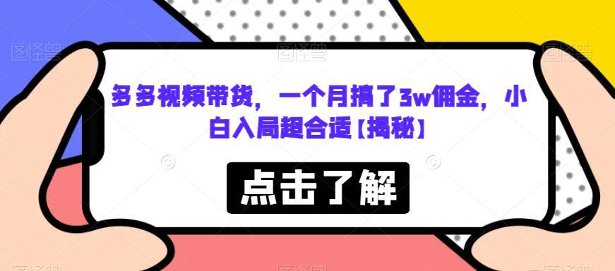 多多视频带货，一个月搞了3W佣金，小白入局超合适【揭秘】-阿灿说钱