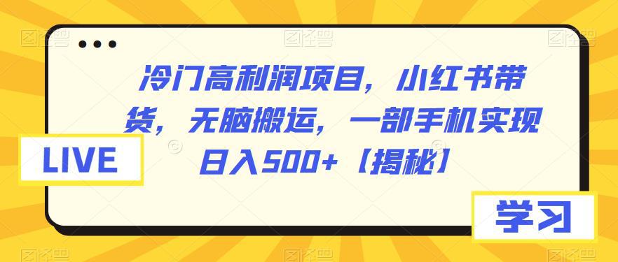 冷门高利润项目,小红书带货,无脑搬运,一部手机实现日入500 【揭秘】