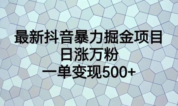 最新抖音暴力掘金项目,日涨万粉,一单变现500 【揭秘】