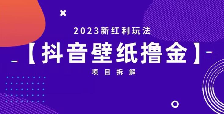 抖音壁纸小程序创作者撸金项目，2023新红利玩法【项目拆解】-阿灿说钱
