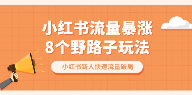 图片[1]-小红书流量-暴涨8个野路子玩法：小红书新人快速流量破局（8节课）-阿灿说钱