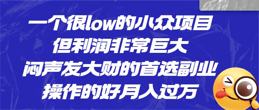 一个很low的小众项目，但利润非常巨大，闷声发大财的首选副业，月入过万-阿灿说钱