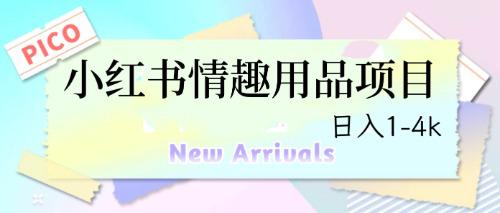 最新小红书情趣用品项目，日入1-4k-阿灿说钱
