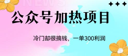 公众号加热项目：冷门玩法揭秘，每单可获利润300+-阿灿说钱