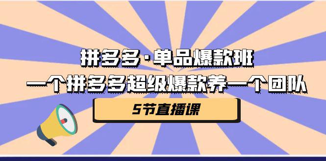 图片[1]-拼多多·单品爆款班，一个拼多多超级爆款养一个团队（5节直播课）-阿灿说钱